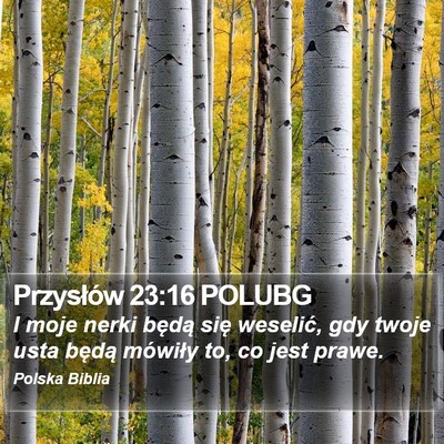 Przysłów 23:16 POLUBG Bible Verse Image