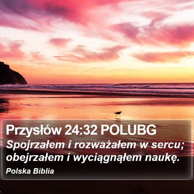 Przysłów 24:32 POLUBG Bible Verse Image