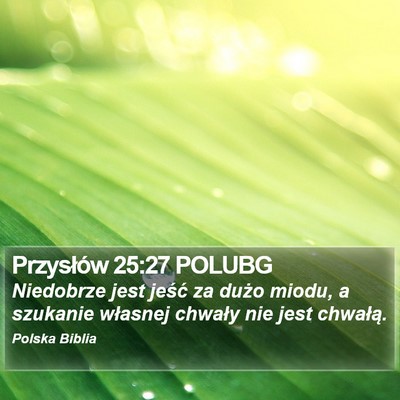 Przysłów 25:27 POLUBG Bible Verse Image