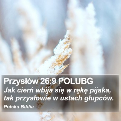 Przysłów 26:9 POLUBG Bible Verse Image