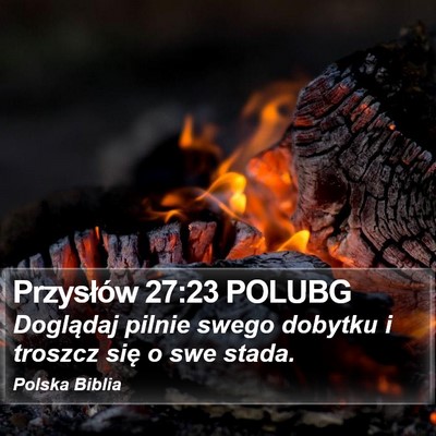 Przysłów 27:23 POLUBG Bible Verse Image