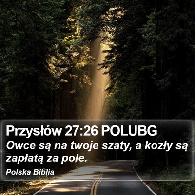 Przysłów 27:26 POLUBG Bible Verse Image