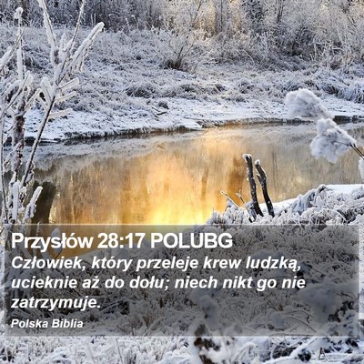 Przysłów 28:17 POLUBG Bible Verse Image