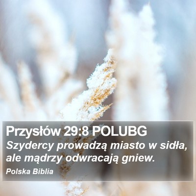 Przysłów 29:8 POLUBG Bible Verse Image