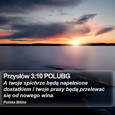 Przysłów 3:10 POLUBG Bible Verse Image