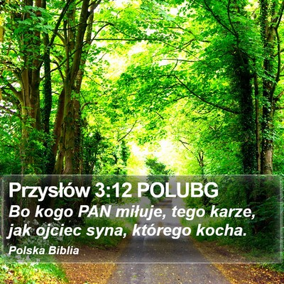 Przysłów 3:12 POLUBG Bible Verse Image