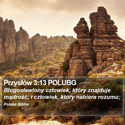 Przysłów 3:13 POLUBG Bible Verse Image