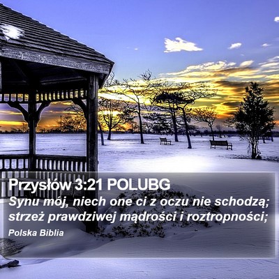 Przysłów 3:21 POLUBG Bible Verse Image