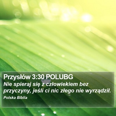 Przysłów 3:30 POLUBG Bible Verse Image