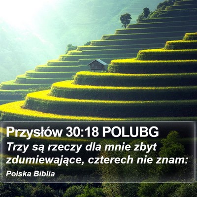 Przysłów 30:18 POLUBG Bible Verse Image