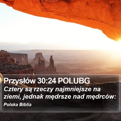 Przysłów 30:24 POLUBG Bible Verse Image