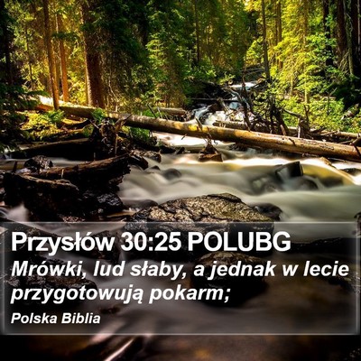 Przysłów 30:25 POLUBG Bible Verse Image
