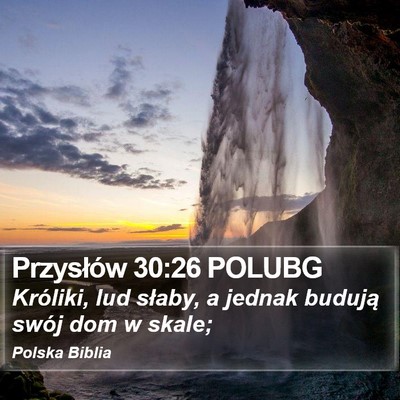 Przysłów 30:26 POLUBG Bible Verse Image