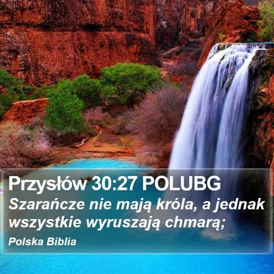 Przysłów 30:27 POLUBG Bible Verse Image