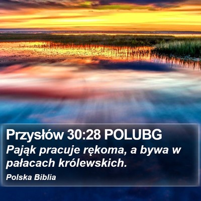 Przysłów 30:28 POLUBG Bible Verse Image
