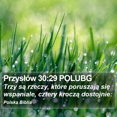 Przysłów 30:29 POLUBG Bible Verse Image