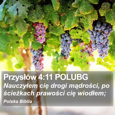 Przysłów 4:11 POLUBG Bible Verse Image