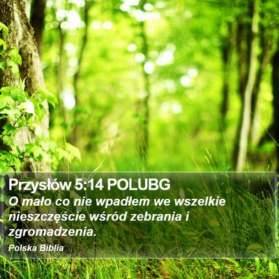 Przysłów 5:14 POLUBG Bible Verse Image