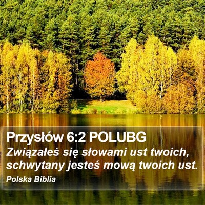 Przysłów 6:2 POLUBG Bible Verse Image