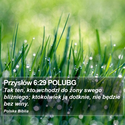 Przysłów 6:29 POLUBG Bible Verse Image