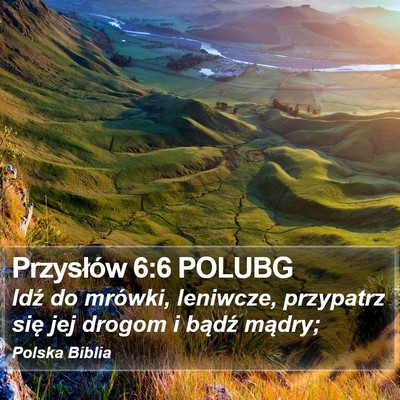 Przysłów 6:6 POLUBG Bible Verse Image