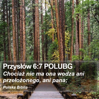 Przysłów 6:7 POLUBG Bible Verse Image