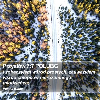 Przysłów 7:7 POLUBG Bible Verse Image