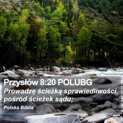 Przysłów 8:20 POLUBG Bible Verse Image