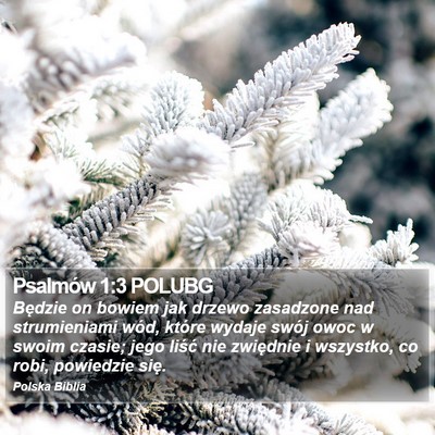 Psalmów 1:3 POLUBG Bible Verse Image