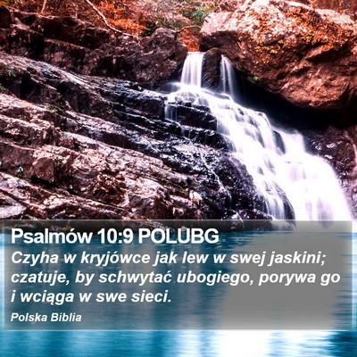 Psalmów 10:9 POLUBG Bible Verse Image