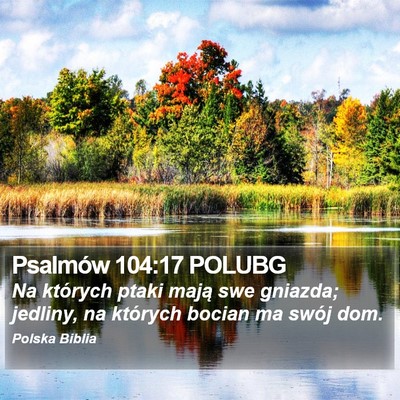 Psalmów 104:17 POLUBG Bible Verse Image