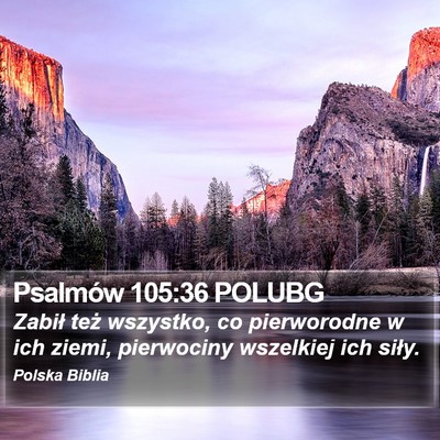Psalmów 105:36 POLUBG Bible Verse Image