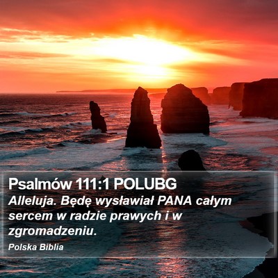 Psalmów 111:1 POLUBG Bible Verse Image