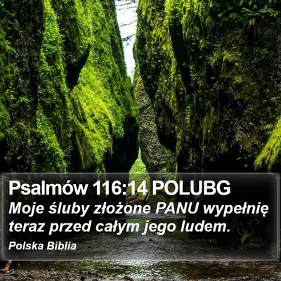 Psalmów 116:14 POLUBG Bible Verse Image