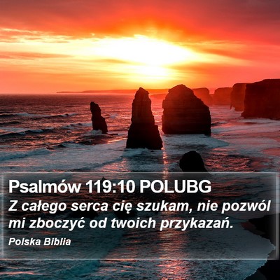 Psalmów 119:10 POLUBG Bible Verse Image