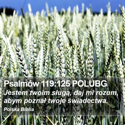 Psalmów 119:125 POLUBG Bible Verse Image