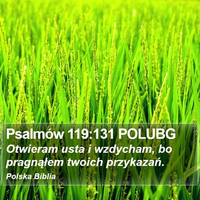 Psalmów 119:131 POLUBG Bible Verse Image