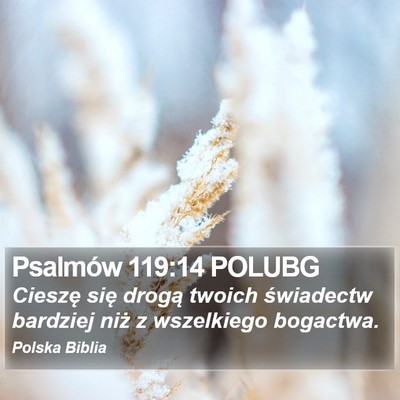 Psalmów 119:14 POLUBG Bible Verse Image