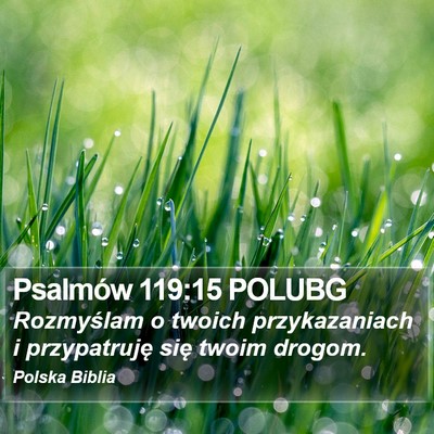 Psalmów 119:15 POLUBG Bible Verse Image