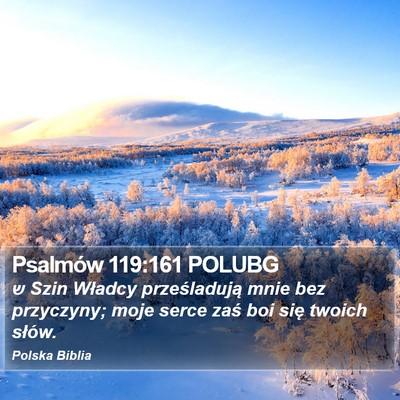 Psalmów 119:161 POLUBG Bible Verse Image