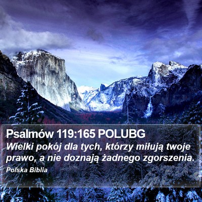 Psalmów 119:165 POLUBG Bible Verse Image