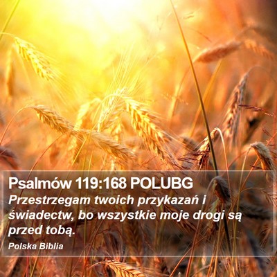 Psalmów 119:168 POLUBG Bible Verse Image