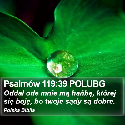 Psalmów 119:39 POLUBG Bible Verse Image