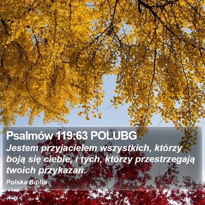 Psalmów 119:63 POLUBG Bible Verse Image