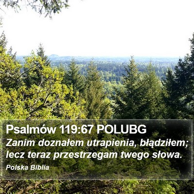 Psalmów 119:67 POLUBG Bible Verse Image