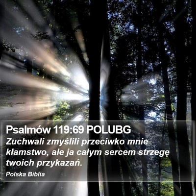 Psalmów 119:69 POLUBG Bible Verse Image