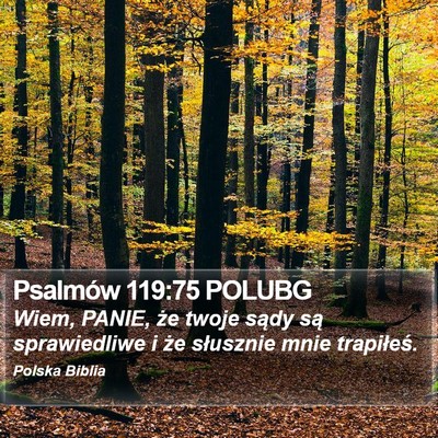 Psalmów 119:75 POLUBG Bible Verse Image