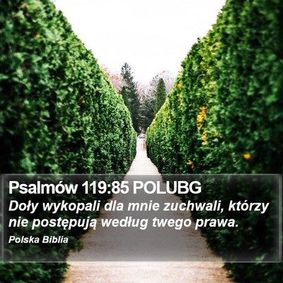 Psalmów 119:85 POLUBG Bible Verse Image