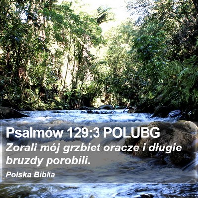 Psalmów 129:3 POLUBG Bible Verse Image