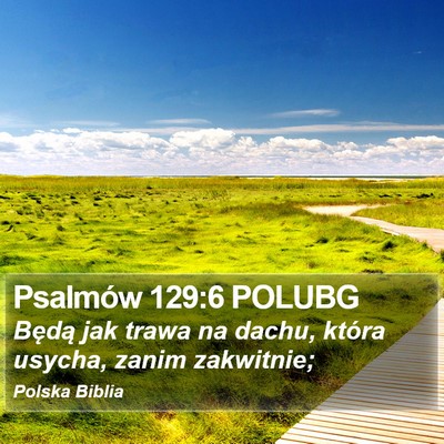 Psalmów 129:6 POLUBG Bible Verse Image
